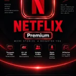 Netflix Premium — DZ Keys Store